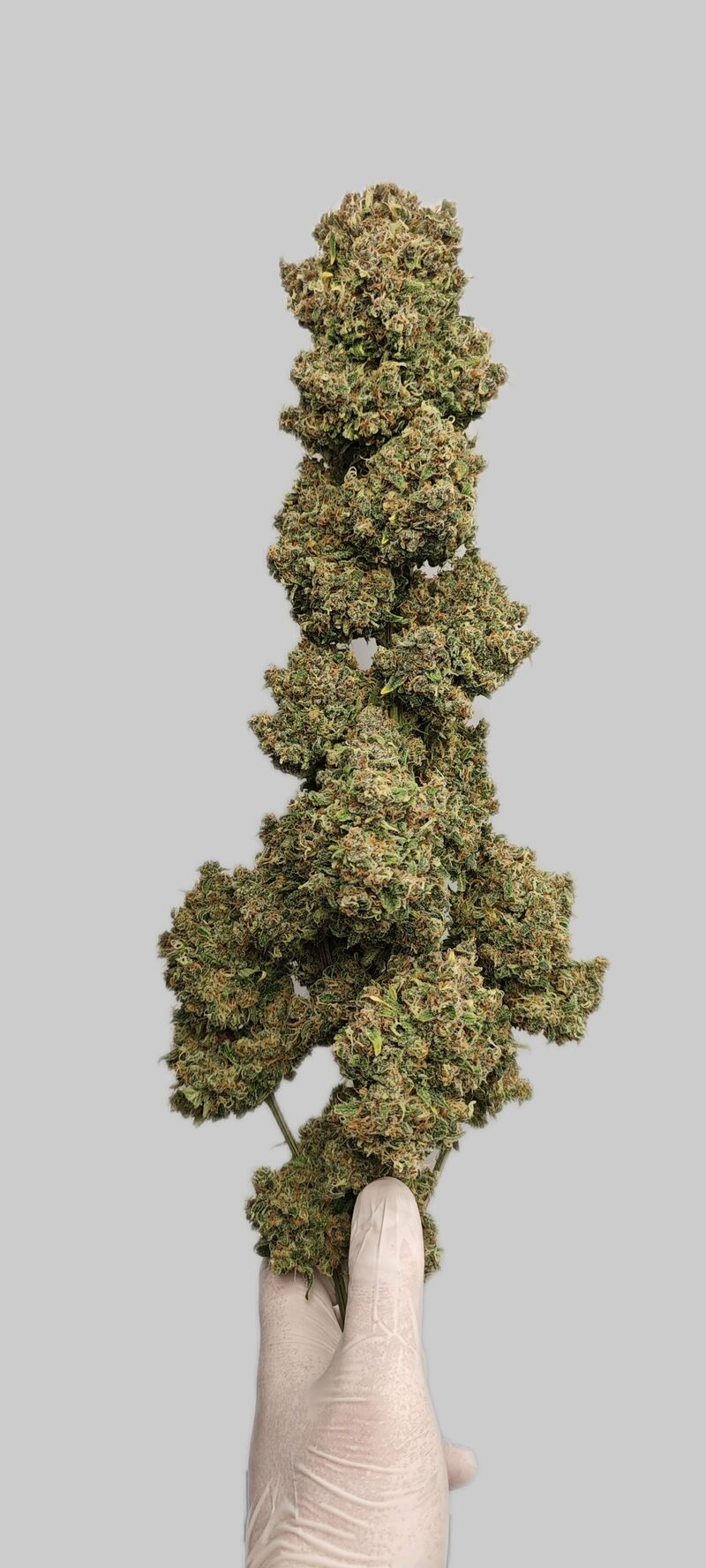 Guava Auto, Фасовка: 5, изображение 16